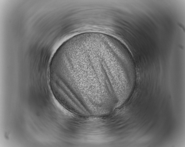 X0000101971531200808011119