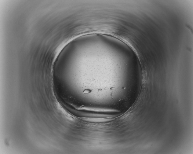 X0000101971532200808011119