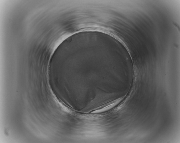 X0000101971533200808011119