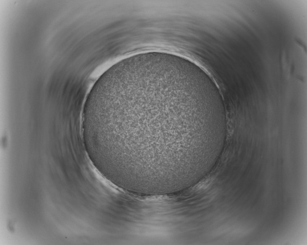 X0000101971535200808011119