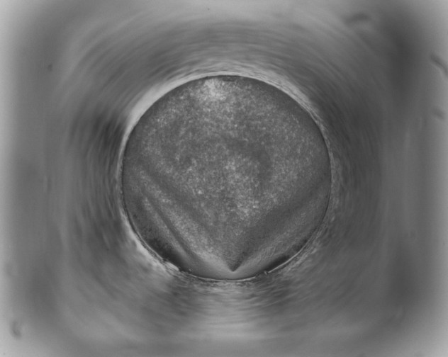 X0000101971536200808011119