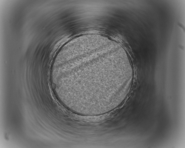 X0000101970001200808081601