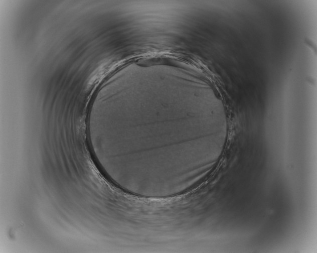X0000101970002200808081601