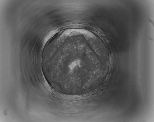 X0000101970003200808081601