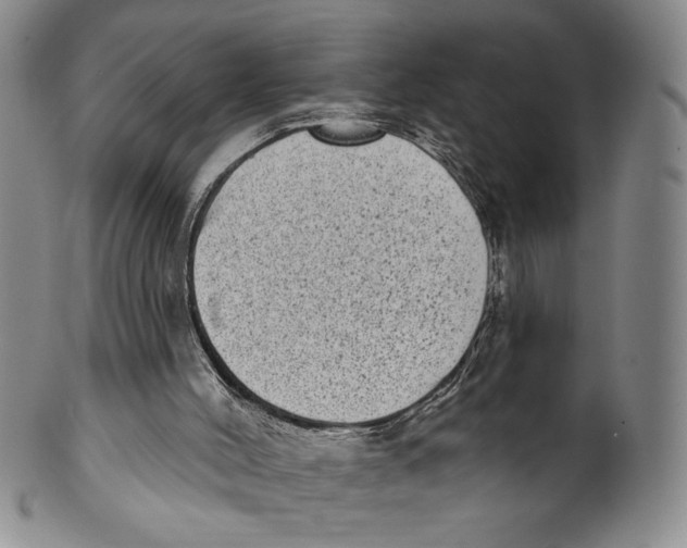 X0000101970004200808081601