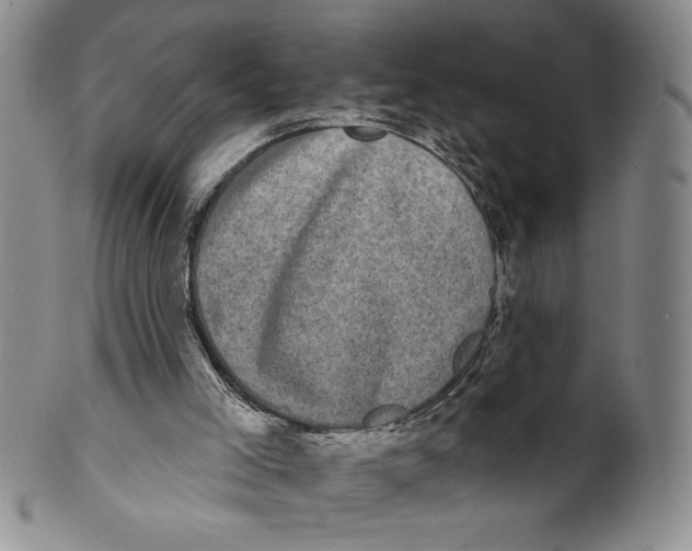 X0000101970005200808081601