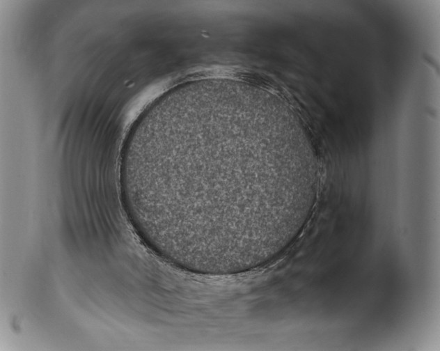 X0000101970006200808081601