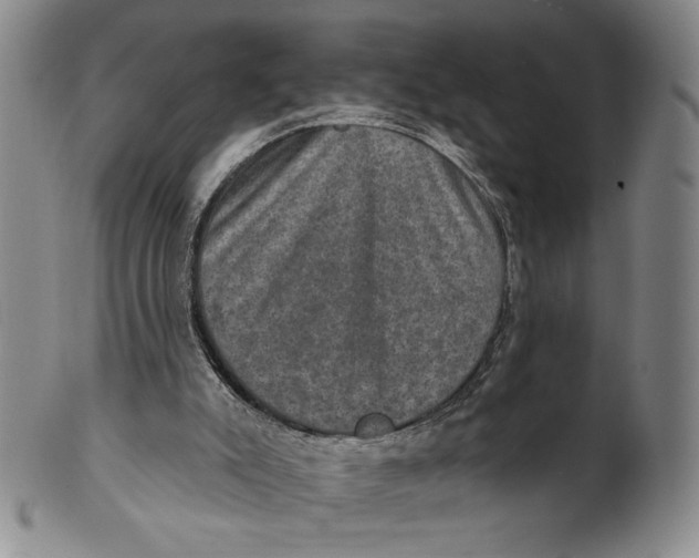 X0000101970007200808081601