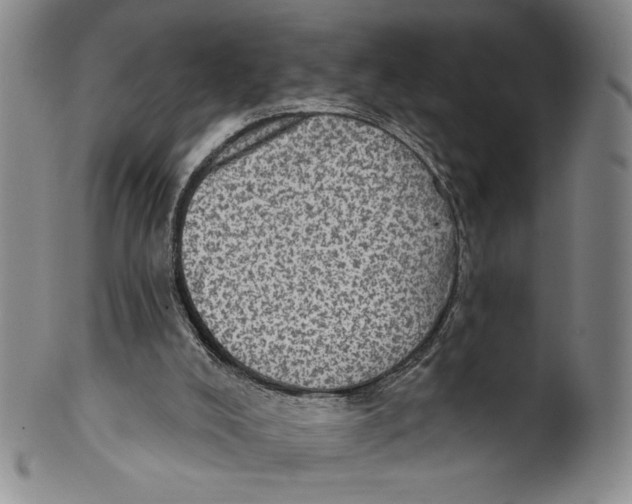 X0000101970008200808081601