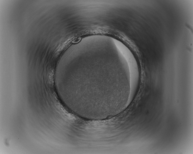 X0000101970009200808081601