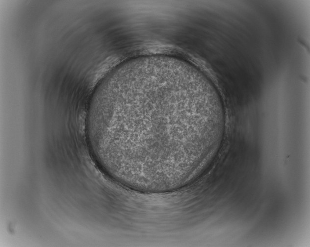 X0000101970010200808081601