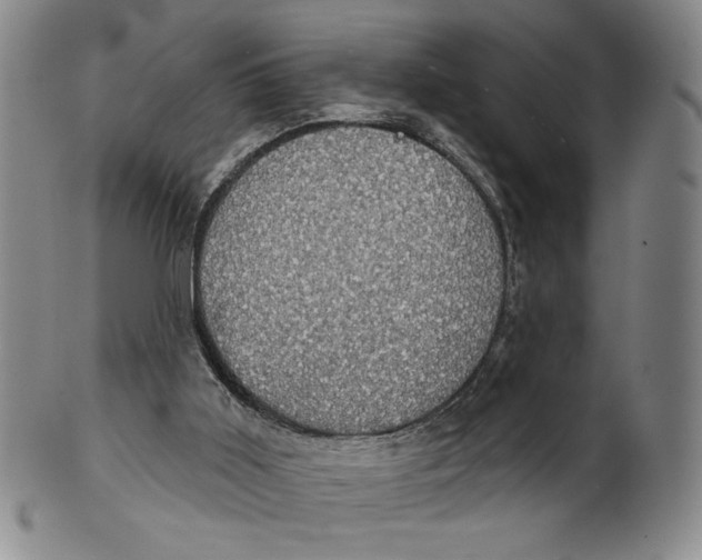 X0000101970011200808081601