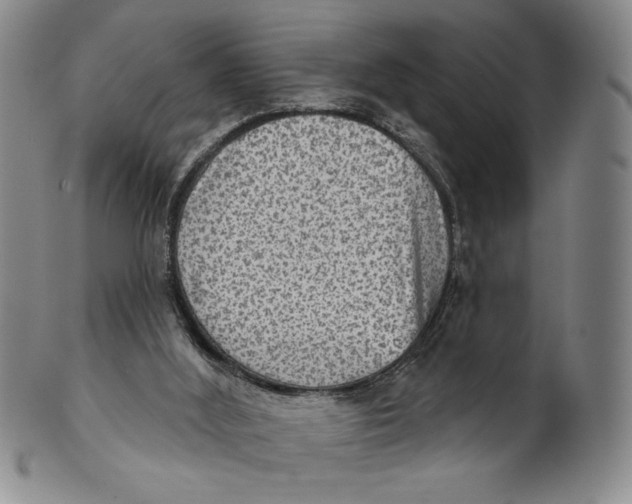 X0000101970012200808081601