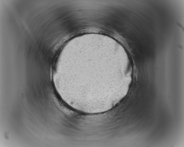 X0000101970013200808081601