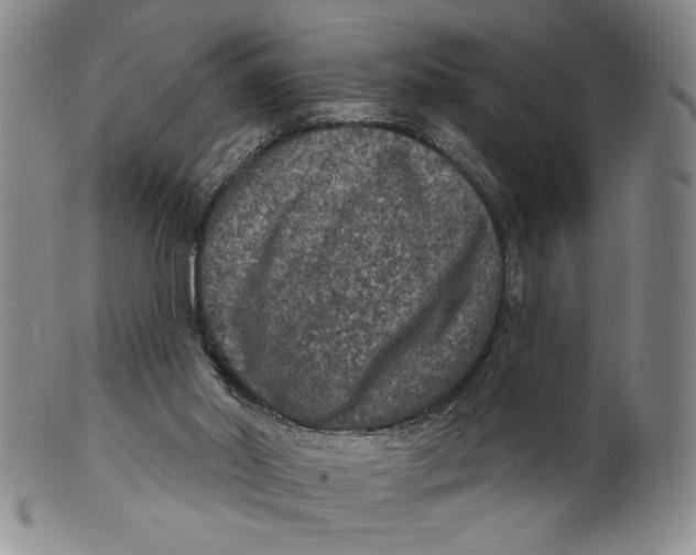 X0000101970014200808081601