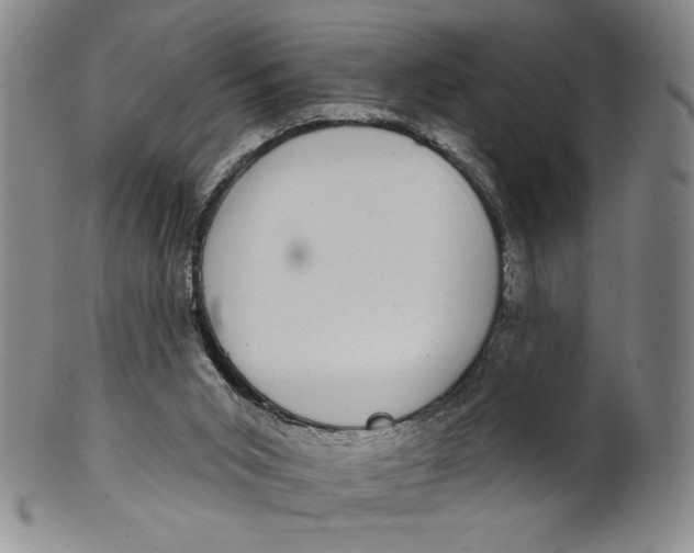 X0000101970015200808081601