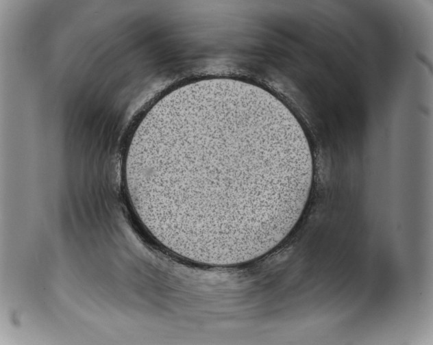 X0000101970016200808081601