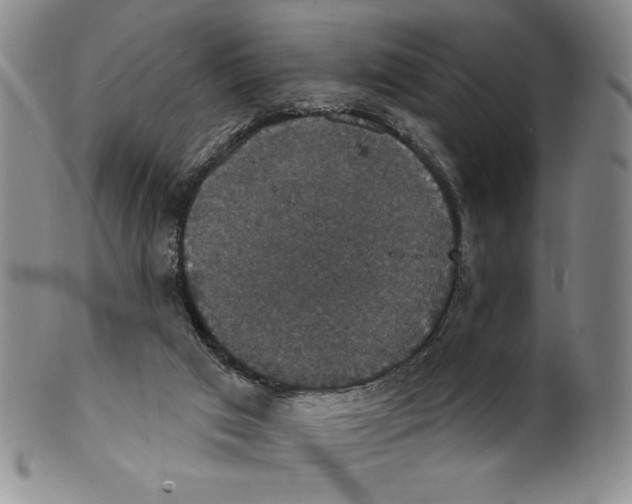 X0000101970017200808081601
