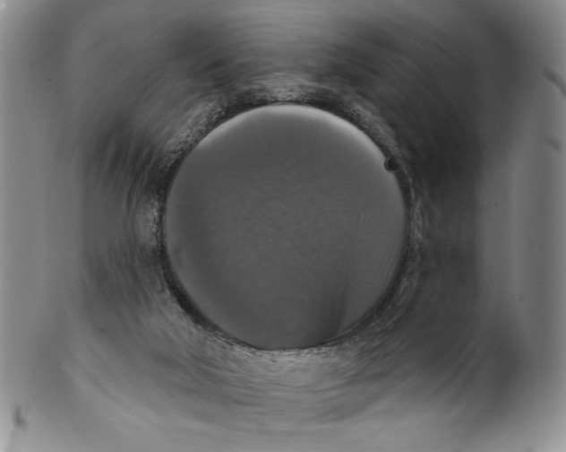 X0000101970018200808081601