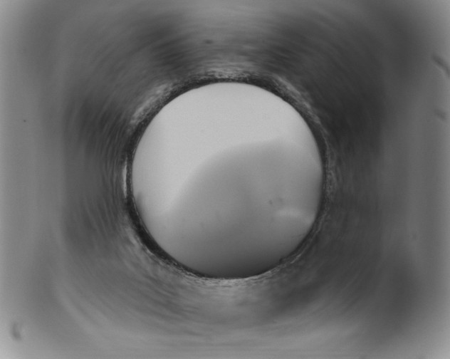 X0000101970019200808081601