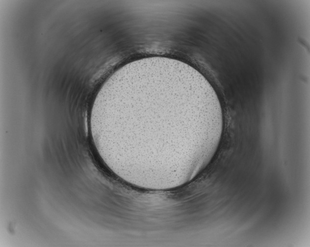 X0000101970020200808081601