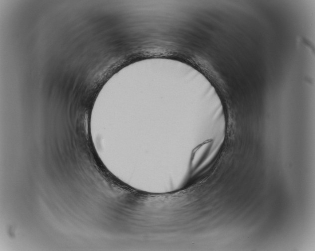 X0000101970021200808081601