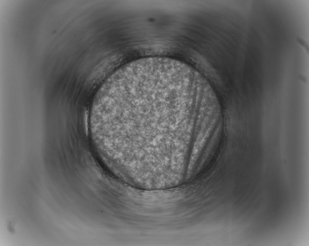 X0000101970022200808081601