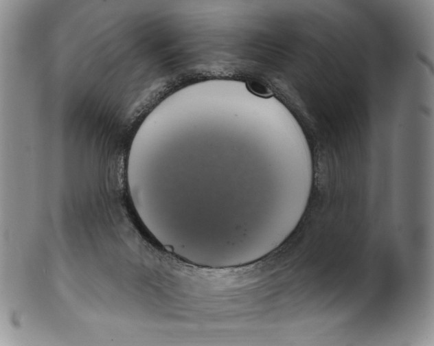 X0000101970023200808081601