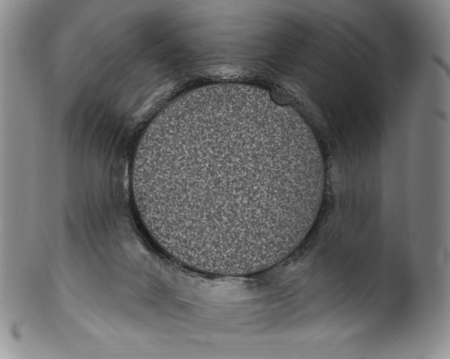 X0000101970024200808081601