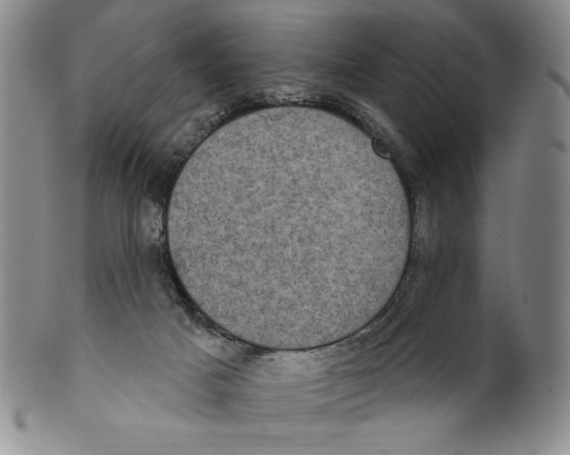 X0000101970025200808081601
