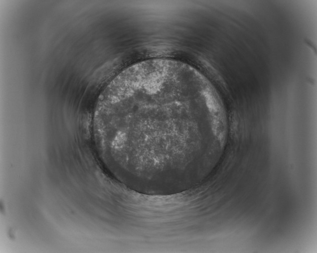 X0000101970026200808081601
