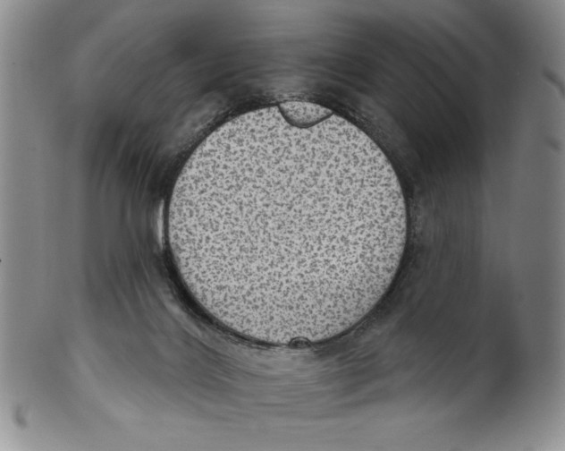 X0000101970028200808081601