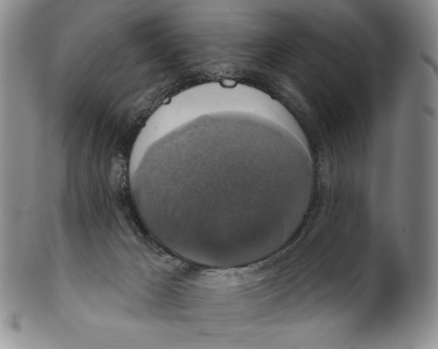 X0000101970029200808081601