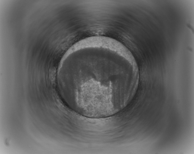 X0000101970030200808081601