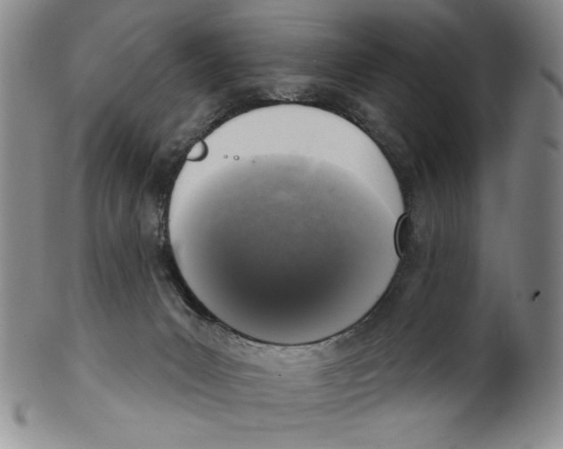 X0000101970031200808081601