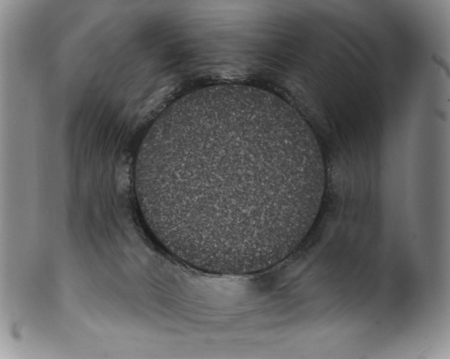 X0000101970032200808081601