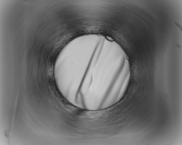 X0000101970033200808081601
