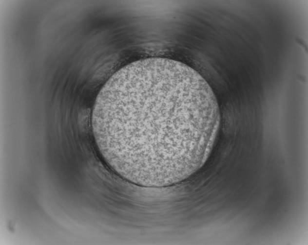 X0000101970034200808081601