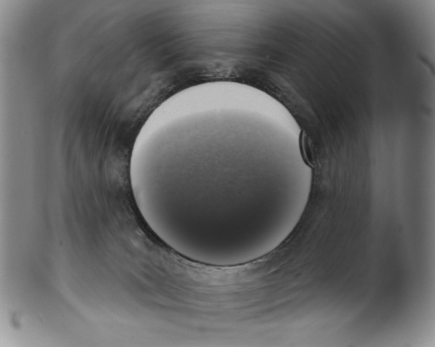 X0000101970035200808081601
