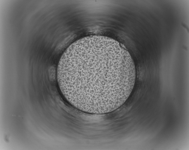 X0000101970036200808081601