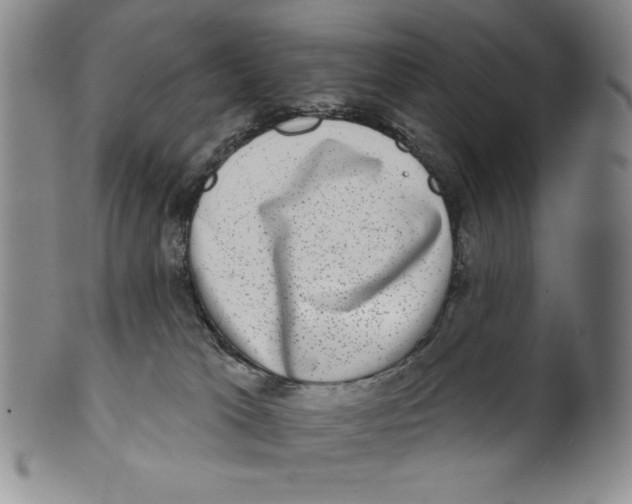 X0000101970037200808081601