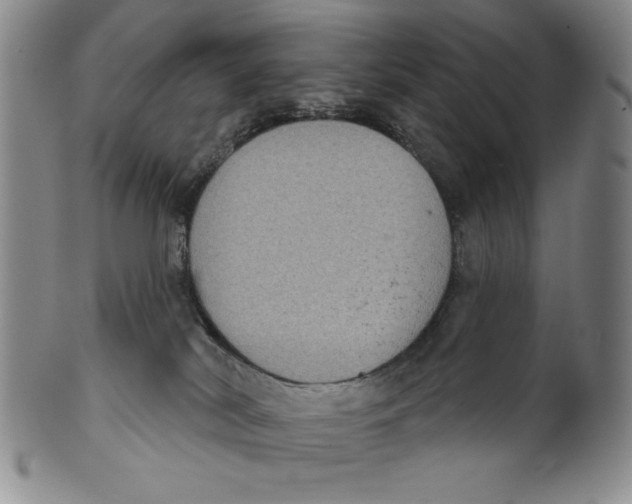 X0000101970038200808081601