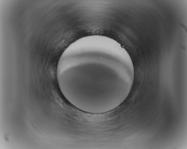 X0000101970039200808081601