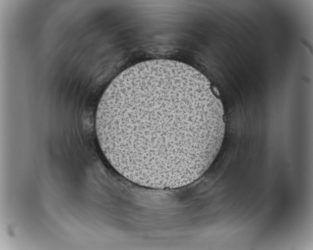 X0000101970040200808081601