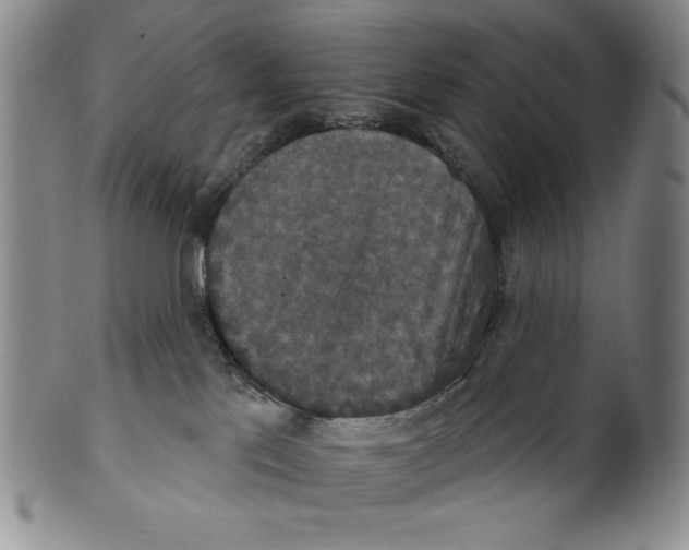 X0000101970041200808081601