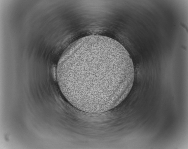 X0000101970042200808081601