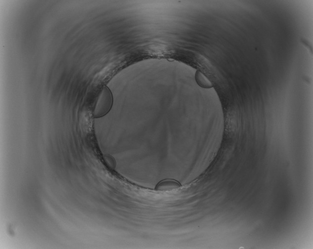 X0000101970043200808081601
