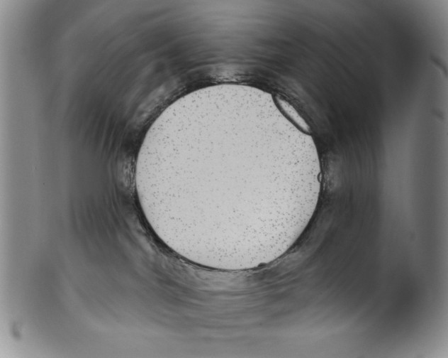 X0000101970044200808081601