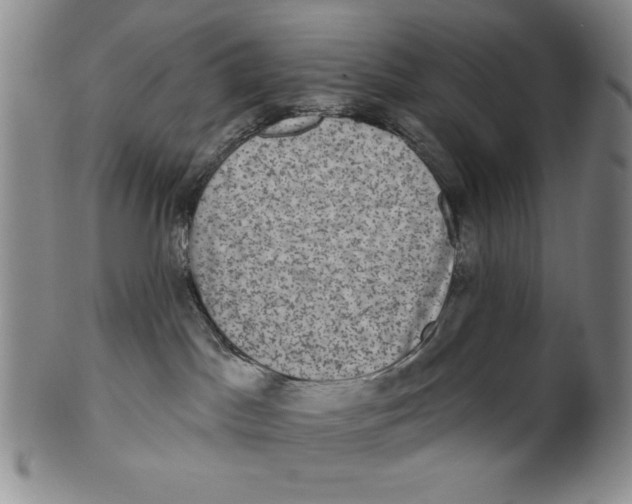 X0000101970045200808081601