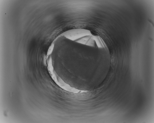 X0000101970046200808081600